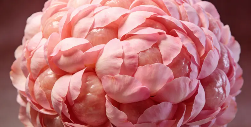 日照BRCA1/2乳腺癌卵巢癌基因检测图片1